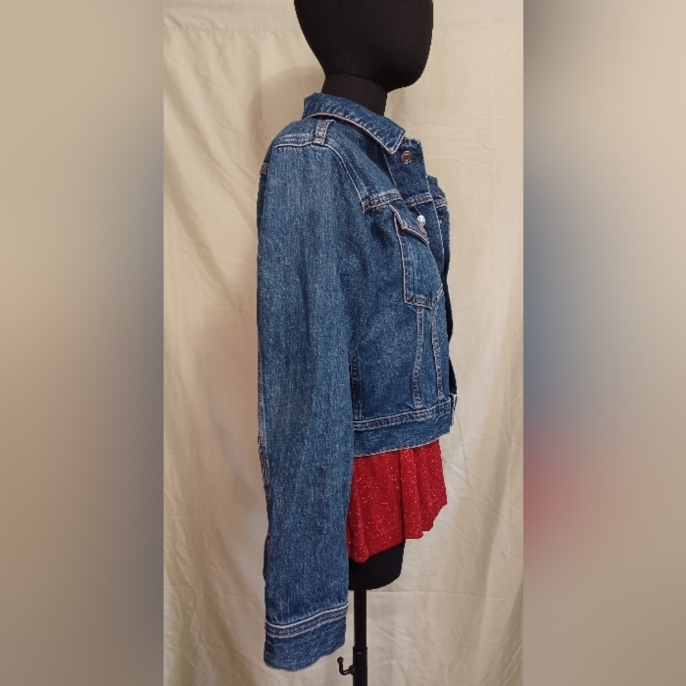Everlane The Shrunken Denim Jacket - Picture 8 of 11